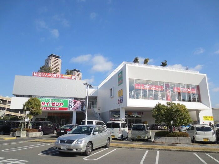 ベアーズ大日店(ショッピングセンター/アウトレットモール)まで799m イーストタウンハイツ