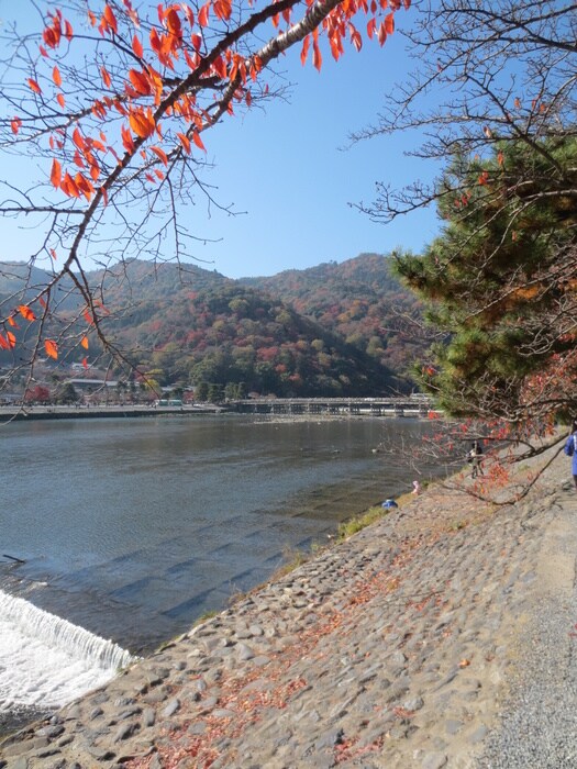 嵐山(美術館/博物館)まで960m ローズパレス嵐山