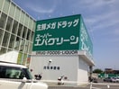 エバーグリーン(スーパー)まで3100m ハーブプラザ和泉鳥取Ⅱ番館