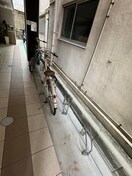 駐輪場 ひまわり八雲