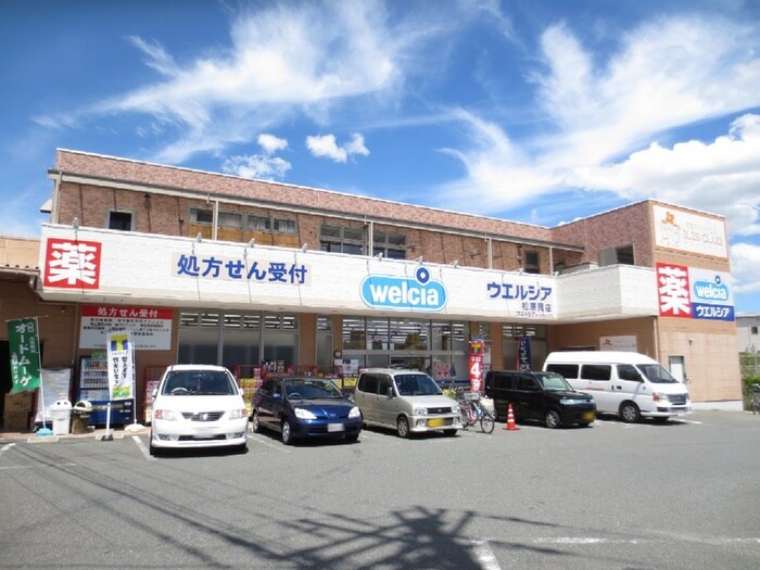 ウエルシア　松原岡店(ドラッグストア)まで450m ピジョットハウス