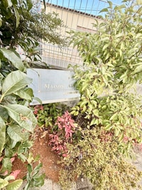 メゾンアズ－ル