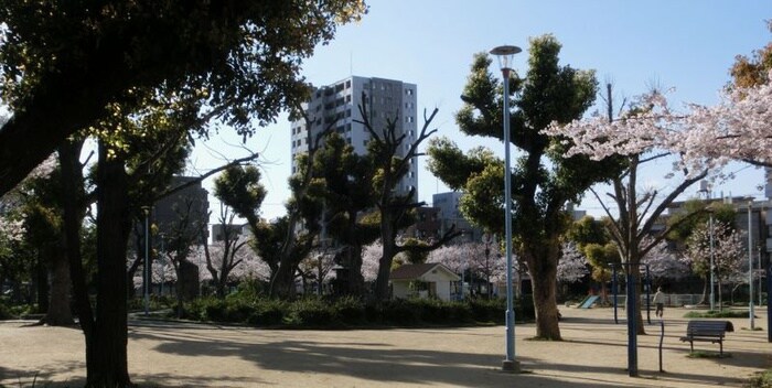 天下茶屋公園(公園)まで210m メゾンコ－ヨ－岸里