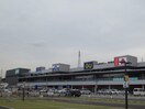 ニトリモール枚方(ショッピングセンター/アウトレットモール)まで1300m コロナード長尾
