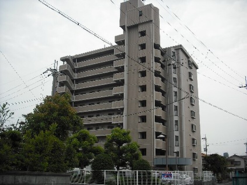 駐車場 ﾒｿﾞﾝ菱江