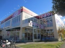 やまや小曽根店(ディスカウントショップ)まで556m パルコスイ－ト服部天神