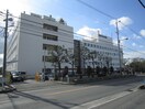 阪南中央病院(病院)まで400m メゾン・ド・ユ－