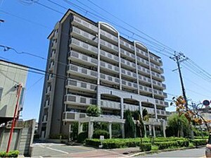 ｼｬﾙﾏﾝﾌｼﾞﾛｲﾔﾙｸﾚｾﾝト泉大津(505)