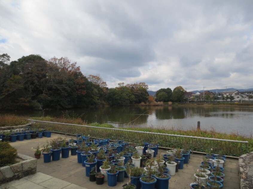 市民公園(公園)まで300m ラ プルミエールサノ