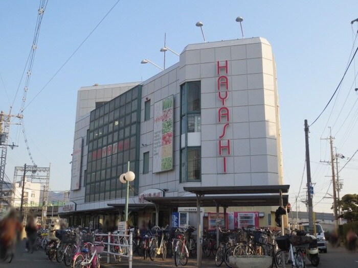 はやし(スーパー)まで509m ヴェルデ　ブリッサⅠ