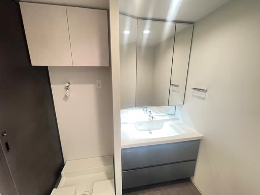 洗面 ウィルローズ京都御陵(507)