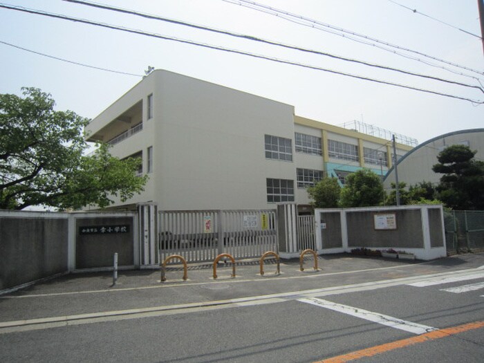 幸小学校(小学校)まで852m シフォンハウス