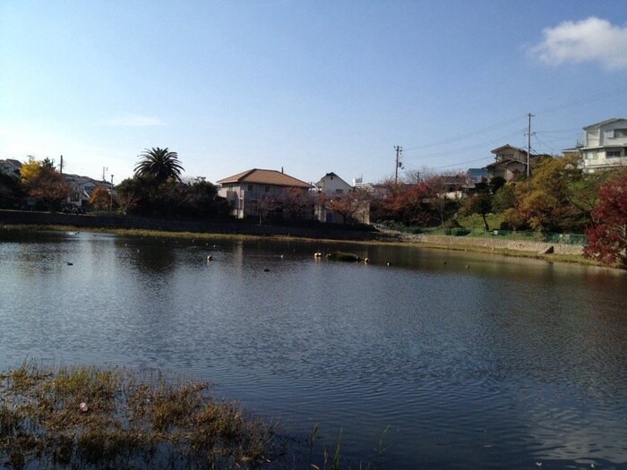 塩屋台公園(公園)まで358m サニ－プレイス塩屋台