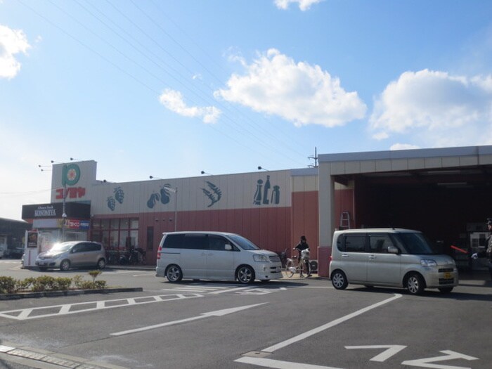 スーパーマーケット コノミヤ 摂津店(スーパー)まで864m ハピネスコートⅢ