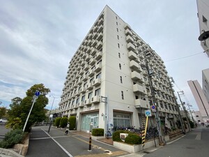 ｽﾃｭﾃﾞｨｵ堺ﾌｪﾆｯｸｽ(910)