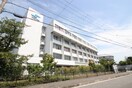 嵯峨美術大学(大学/短大/専門学校)まで91m ハイツ山口