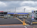 ローソン(コンビニ)まで186m Ｓｕｎ　Ｇａｒｄｅｎ　大宮