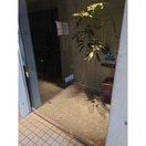 エントランス部分 プレジール御所東