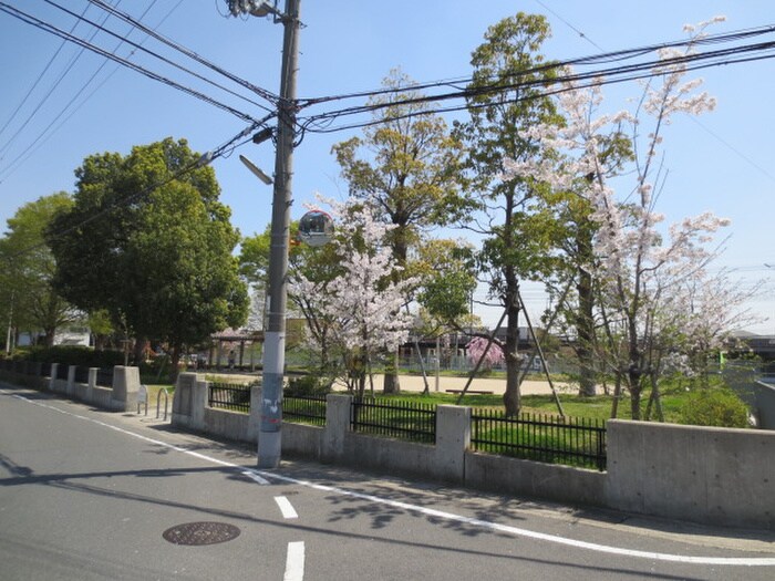 清水公園(公園)まで170m ル－ミナス桂