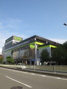 ロイヤルホームセンター森之宮店(電気量販店/ホームセンター)まで744m 玉造鋼業庄村ビル