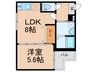 フジパレス沢ノ町 1LDKの間取り