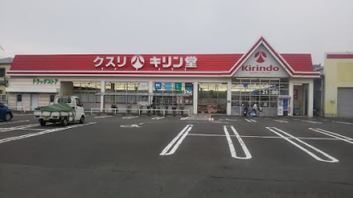 キリン堂沢良宜店(ドラッグストア)まで240m フジパレス沢良宜東Ⅴ番館