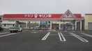キリン堂沢良宜店(ドラッグストア)まで240m フジパレス沢良宜東Ⅴ番館