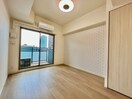 居室 ﾌﾟﾚｻﾝｽ大阪同心ﾒｿﾞｳﾞｨｰﾀ(501)