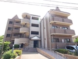 Collection Itami