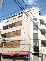 シロハイヌ千代崎