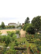 室内からの展望 ロ－ズコ－ト諏訪山