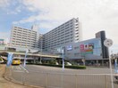 ゆめニティまつばら(ショッピングセンター/アウトレットモール)まで800m セルバテールハイツ