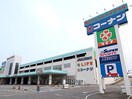 コーナン(電気量販店/ホームセンター)まで2200m Ｆｏｒｅｓ