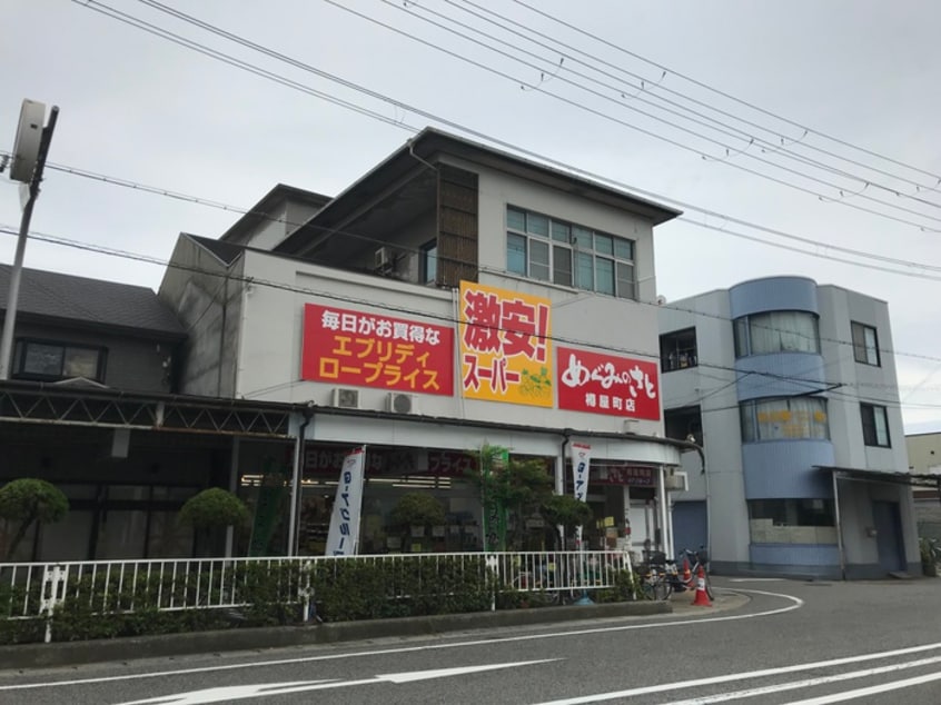 めぐみの郷(スーパー)まで240m エスタ・ビエン