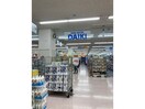 ダイキ(電気量販店/ホームセンター)まで1200m ソフトリィ