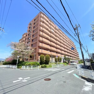 ダイアパレス樟葉（210）