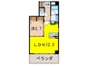 CASA　MADONNA　Ⅶ 1LDKの間取り