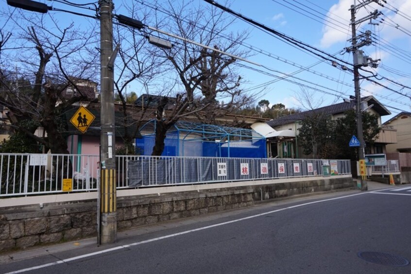 桃嶺保育園(幼稚園/保育園)まで20m アビタシオン南桃山