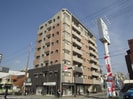 シャ－メゾン白鷺の外観