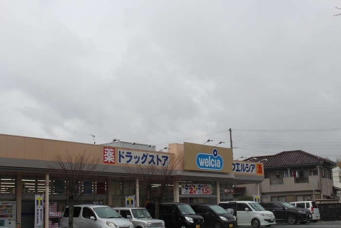 ウエルシア神戸伊川谷北別府店(ドラッグストア)まで400m フェリチタ
