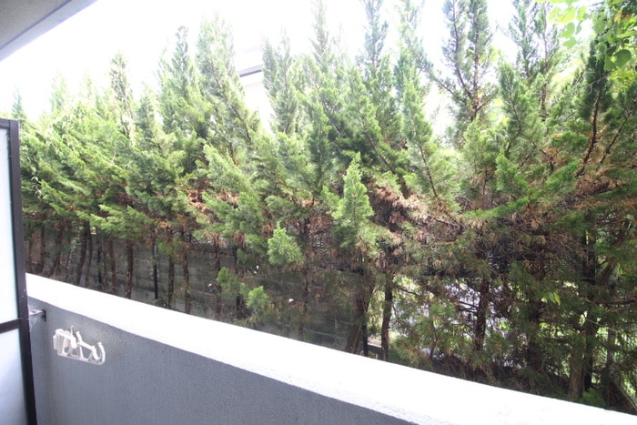 室内からの展望 きんこん館