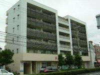 アマント　リビエ－ル　シギノ