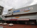 グルメシティ(スーパー)まで2630m 芦屋市涼風町1号住宅