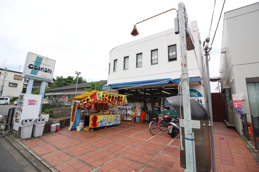 コモン(スーパー)まで800m 龍安寺山田町貸家7-10