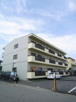 ミモレ東浅香