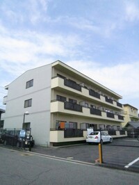 ミモレ東浅香
