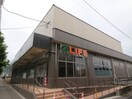 ライフ松ケ崎店(スーパー)まで750m ソレイユ北山