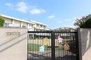 愛徳幼稚園(幼稚園/保育園)まで140m フォ－レスト星陵台