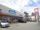 ウエルシア(ドラッグストア)まで244m 浅堀 マンション