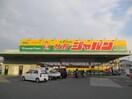 ジャパン牧野店(ディスカウントショップ)まで304m セドロアロサルⅡ